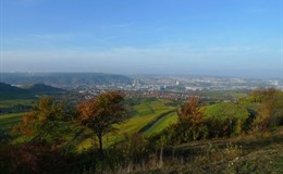 Naturschutzgebiet Kappelberg